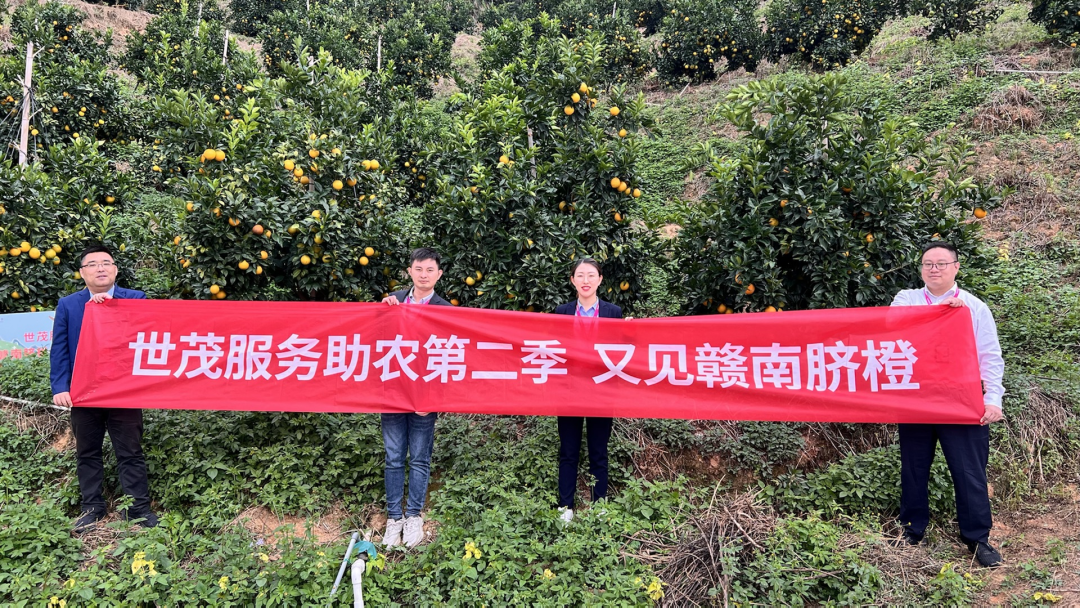 关注中央一号文件,世茂服务推进城乡环卫一体化,助力乡村振兴